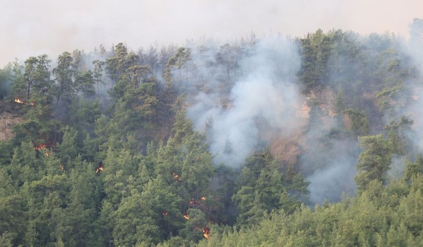 Antalya'da ormanlık alanda çıkan yangına müdahale ediliyor