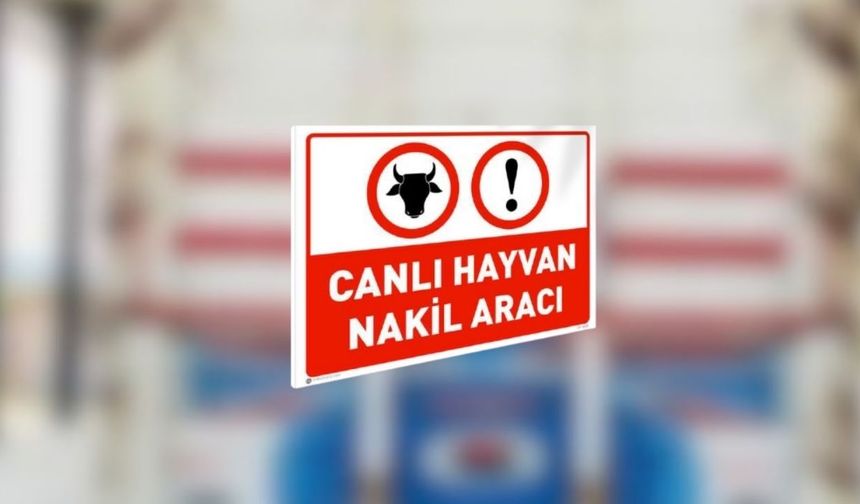 Canlı hayvan nakil yönetmeliğinde değişikliğe gidildi