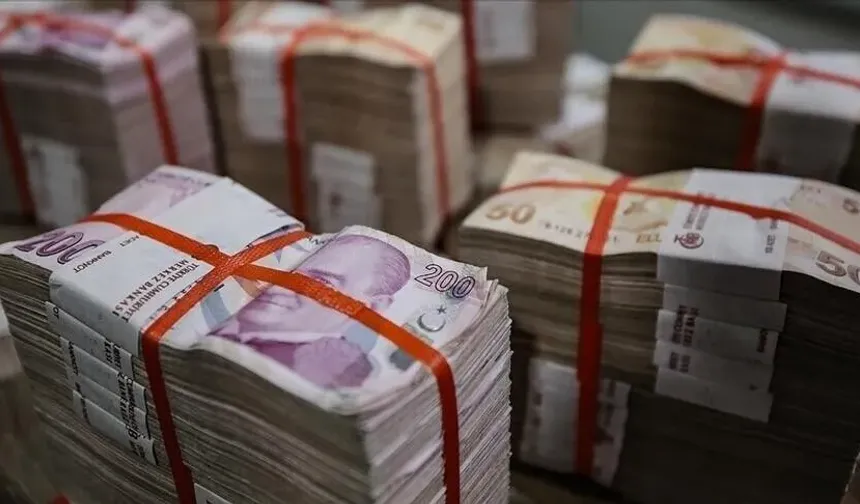 Hazine alacakları ağustos sonu itibarıyla 256,2 milyar lira oldu