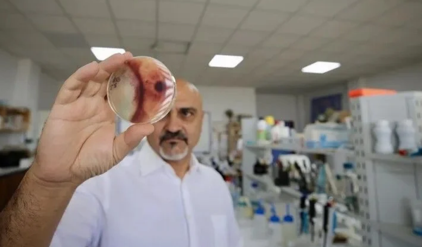 Mikroskobik canlıda böcek kovucudan 100 kat etkili molekül bulundu