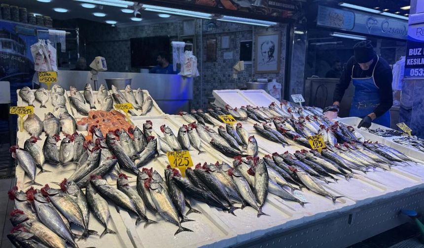 Balıkçı tezgahlarında palamut ilgi görüyor