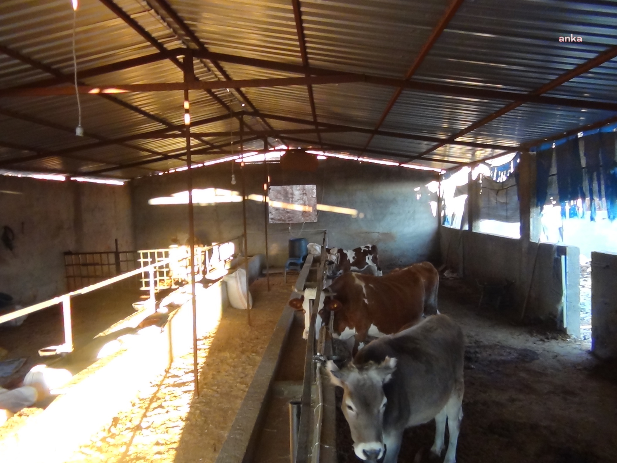 86c13338-13b7-4d5c-9114-d571da8b55bf-w