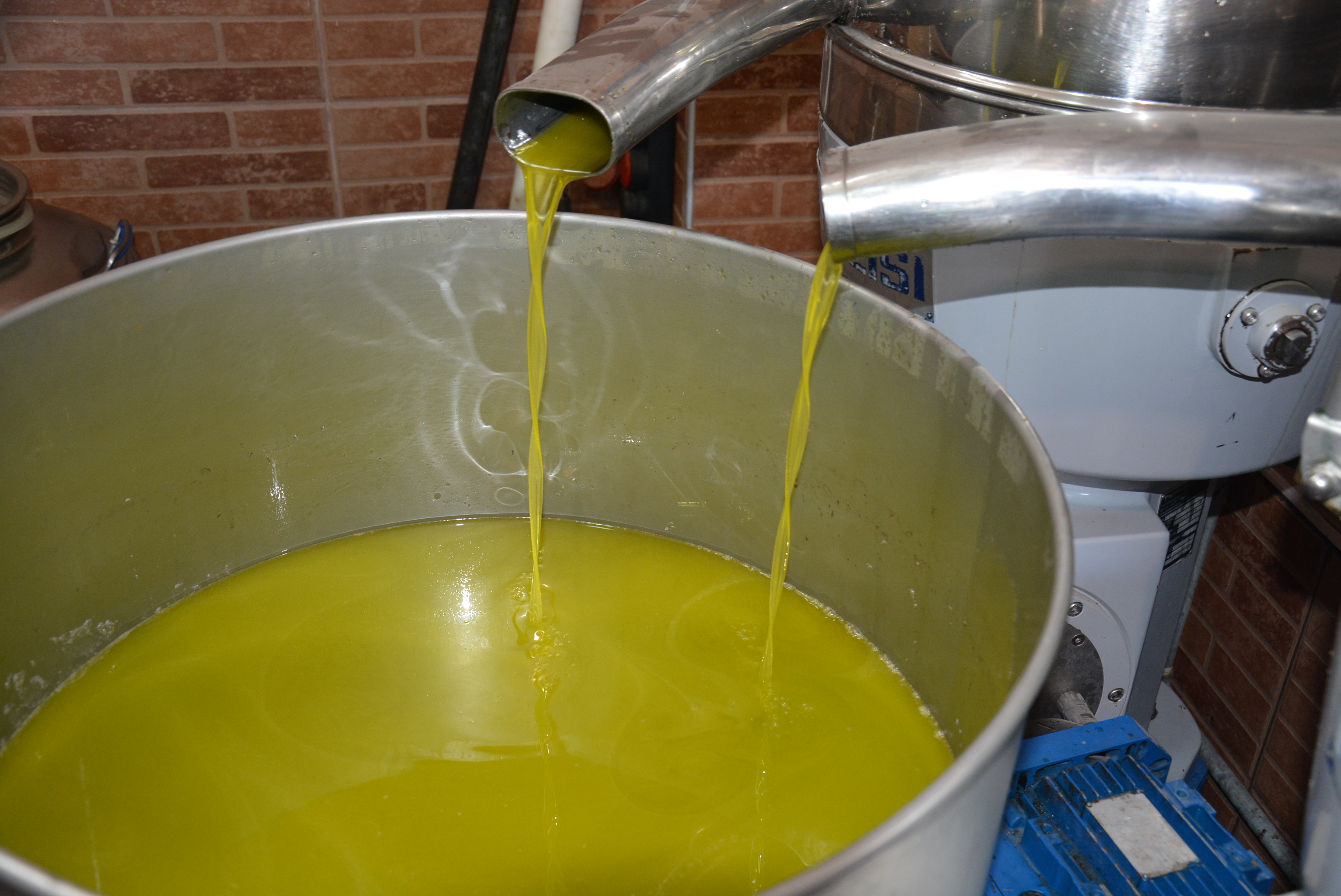 VATANDAŞIN ZEYTİNİ VATANDAŞIN SOFRASINA GELİYOR (7)