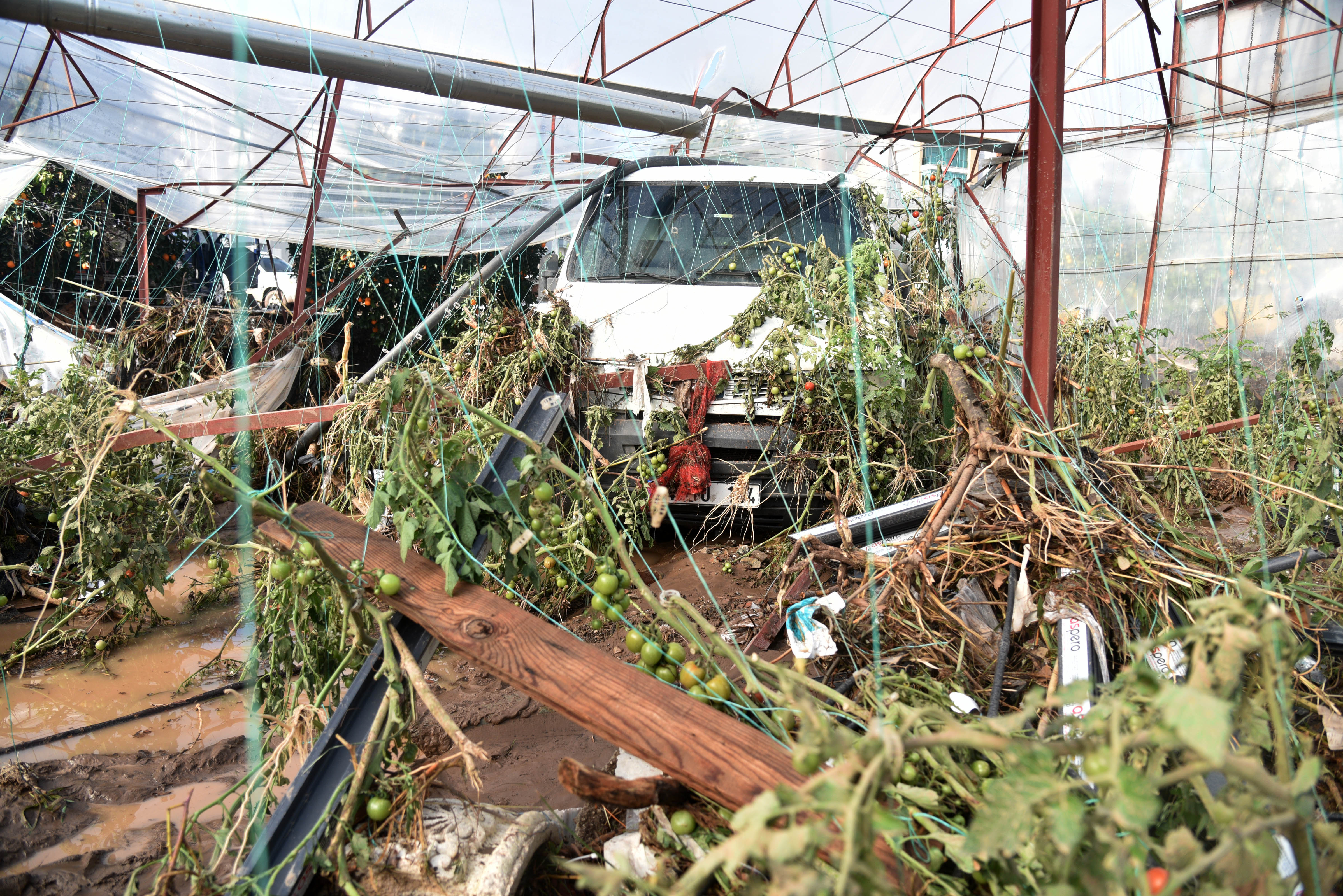 fe88ec988322c3589ffe006f2a2d2007