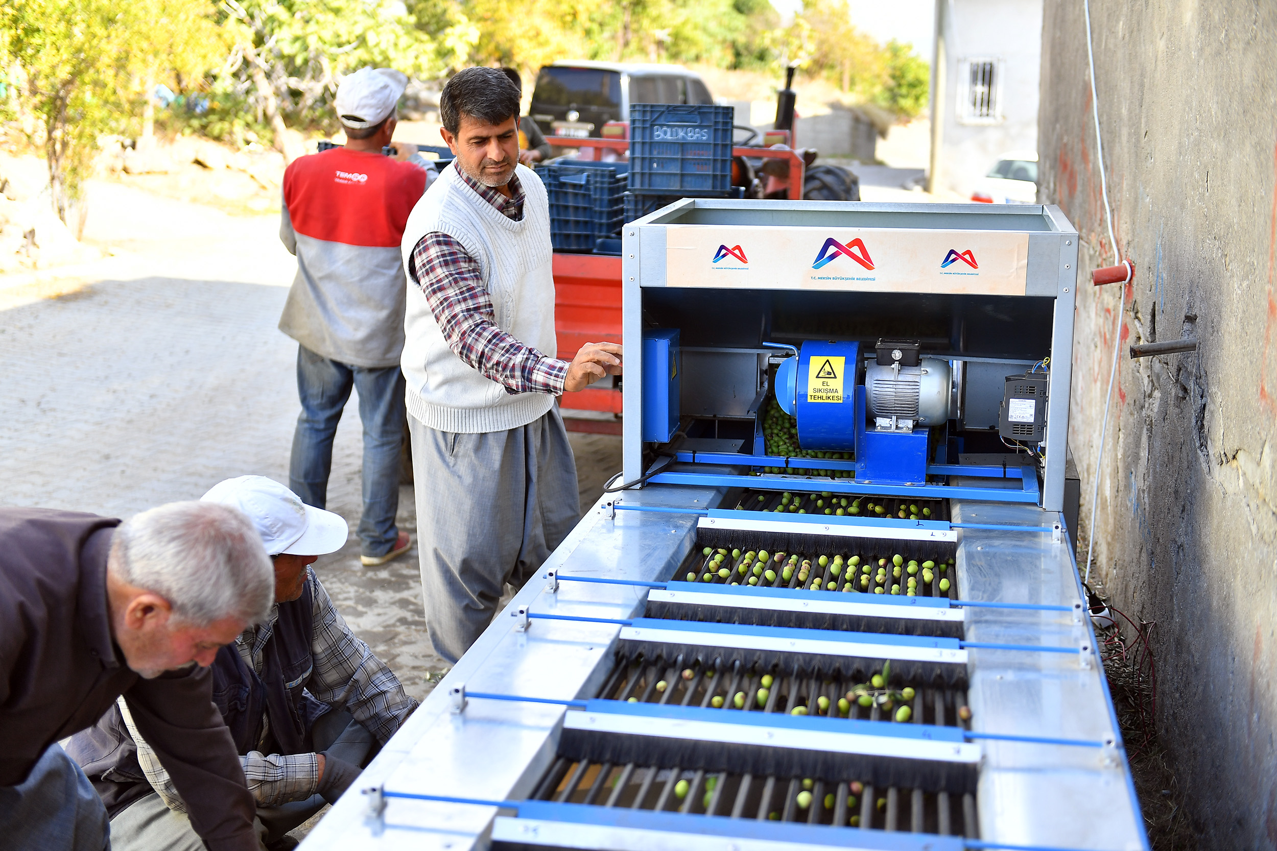 ZEYTİNİ MAKİNE SINIFLANDIRIYOR, ÜRETİCİ KEYFİNE BAKIYOR (6)