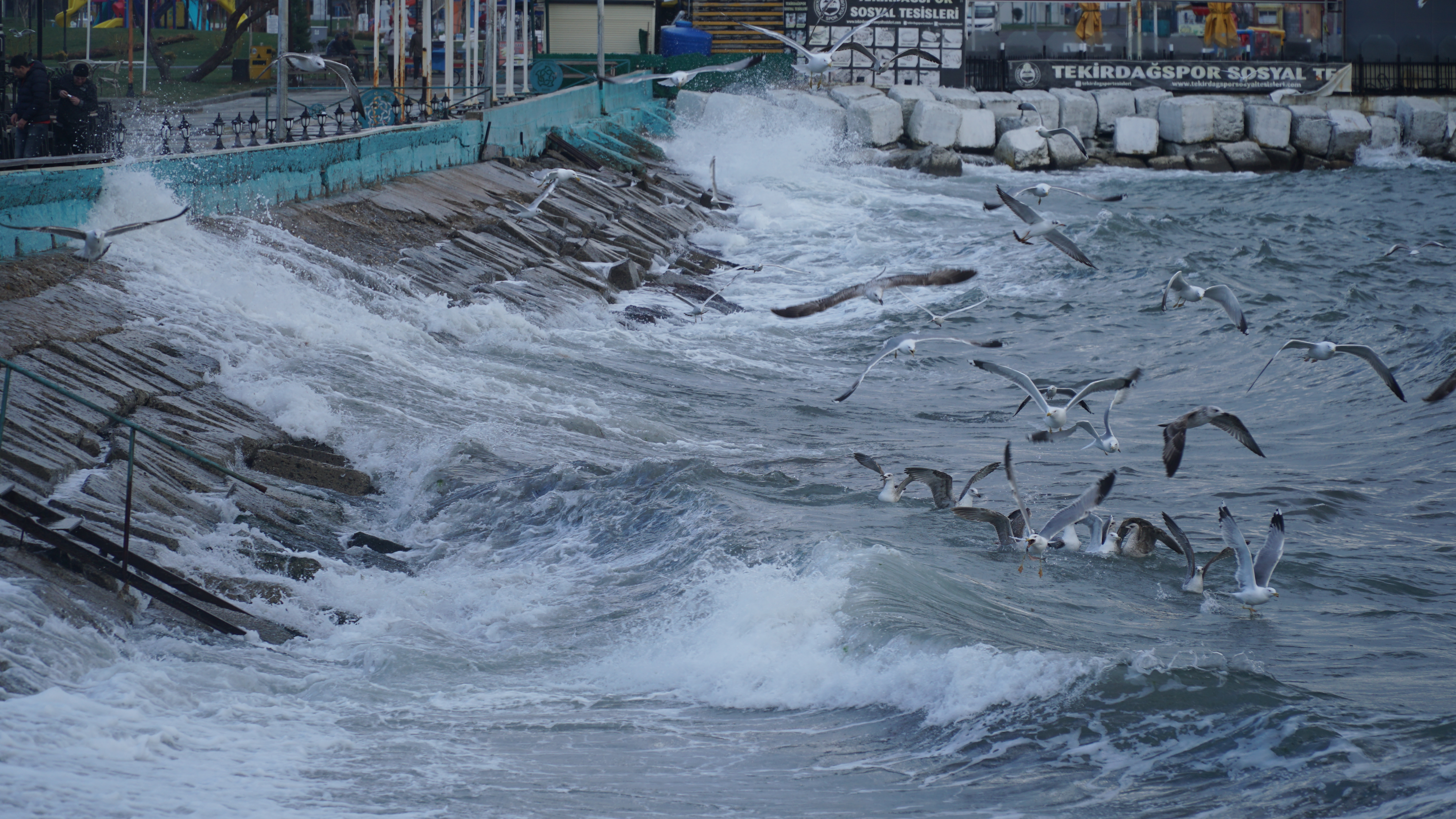 AA-20230117-30011742-30011734-TEKIRDAGDA_DENIZ_ULASIMINA_LODOS_ENGELI