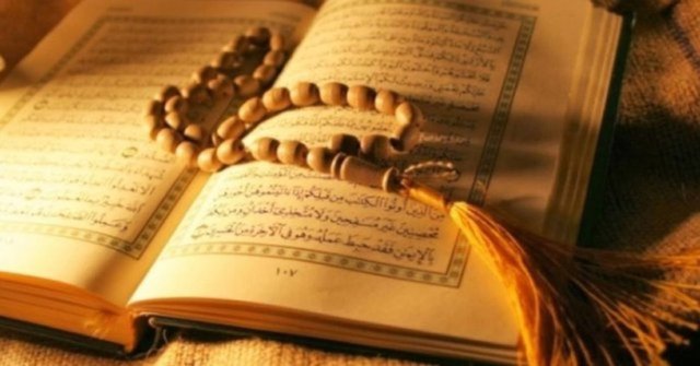 0b161ae18b5cd04cca8c03f01655718b_1366x1366