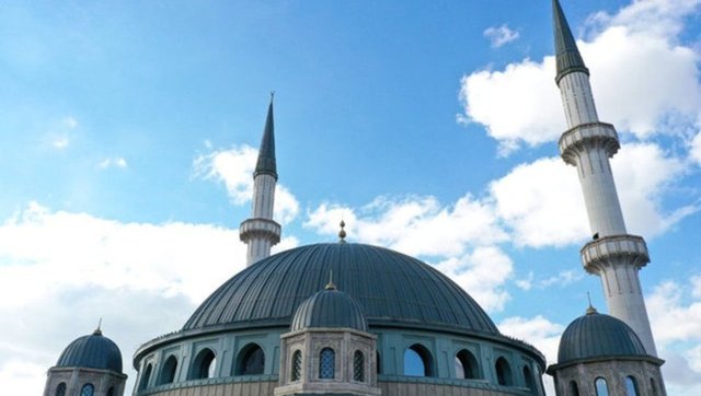 31d1c304e2c84bacb0eb1aa2ef91ae2b_1366x1366