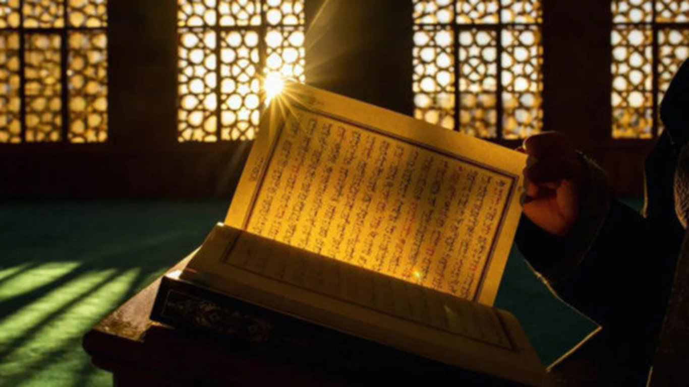 8f66b29d6750b751ea03786ca4aa8cd9_1366x1366