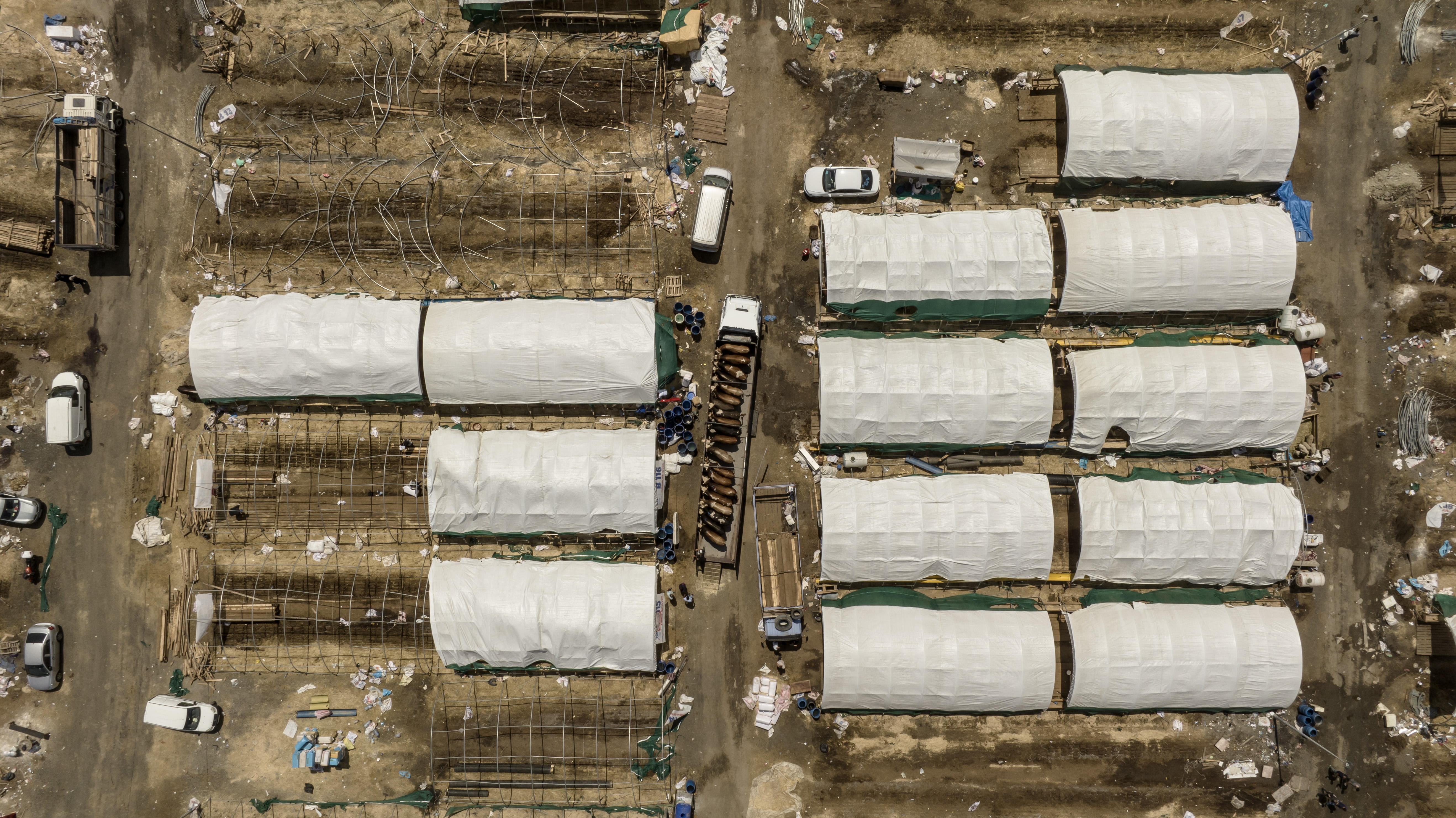 AA-20230630-31561552-31561546-ISTANBULDA_KURULAN_PAZARLARDA_KURBANLIK_SATAN_BESICILER_TOPARLANMAYA_BASLADI