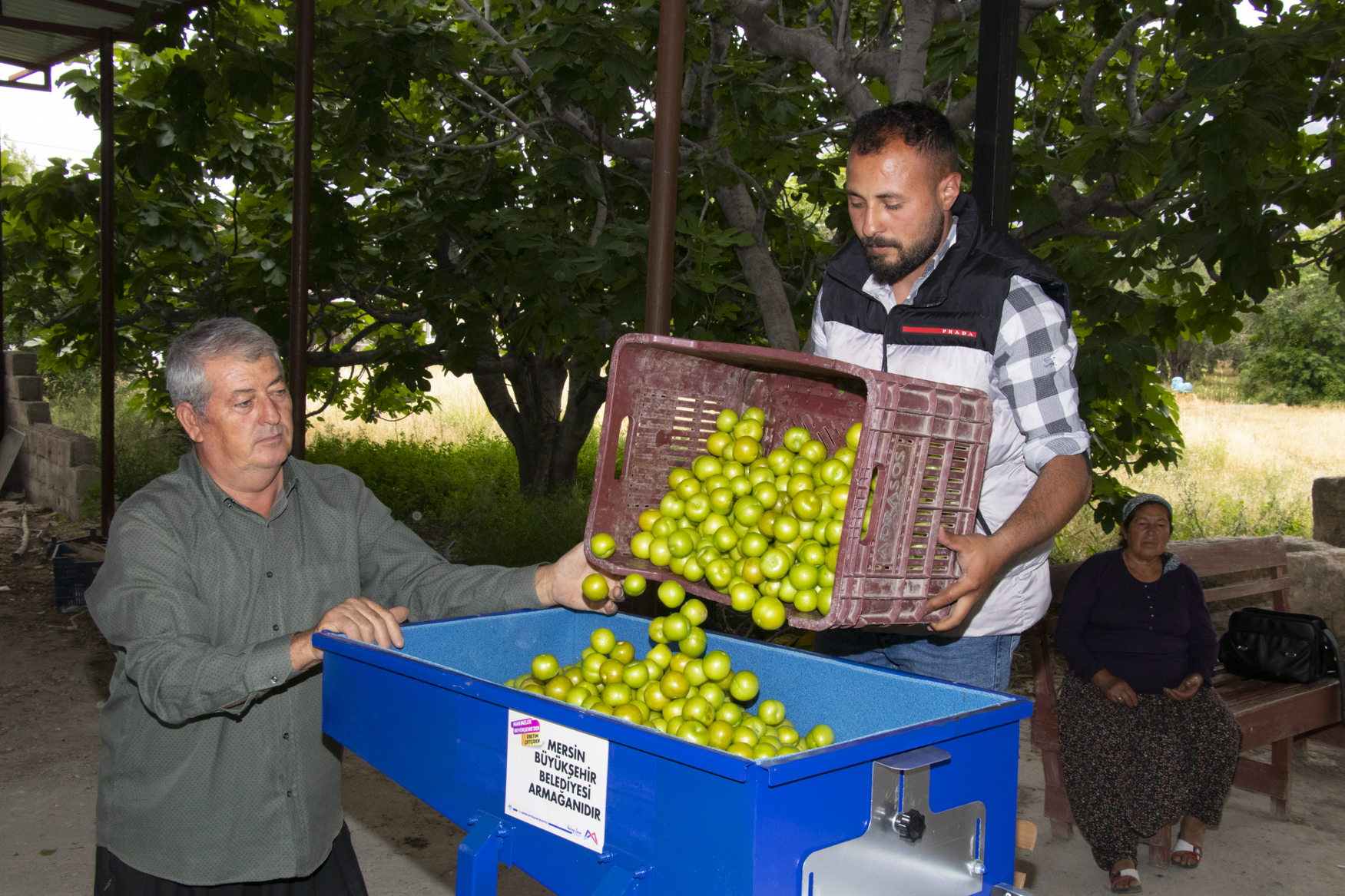 BÜYÜKŞEHİRİN DESTEKLERİYLE ÜRÜNLERİN DEĞERİ ARTIYOR  (7)