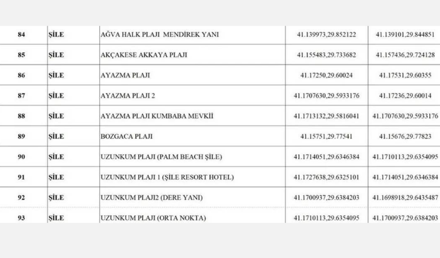 Tasarımsu (5)-138