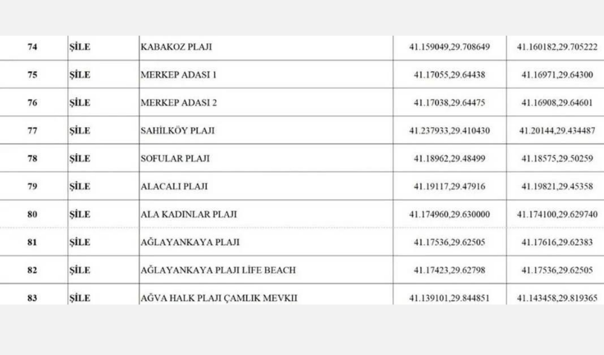 Tasarımsu (7)-131