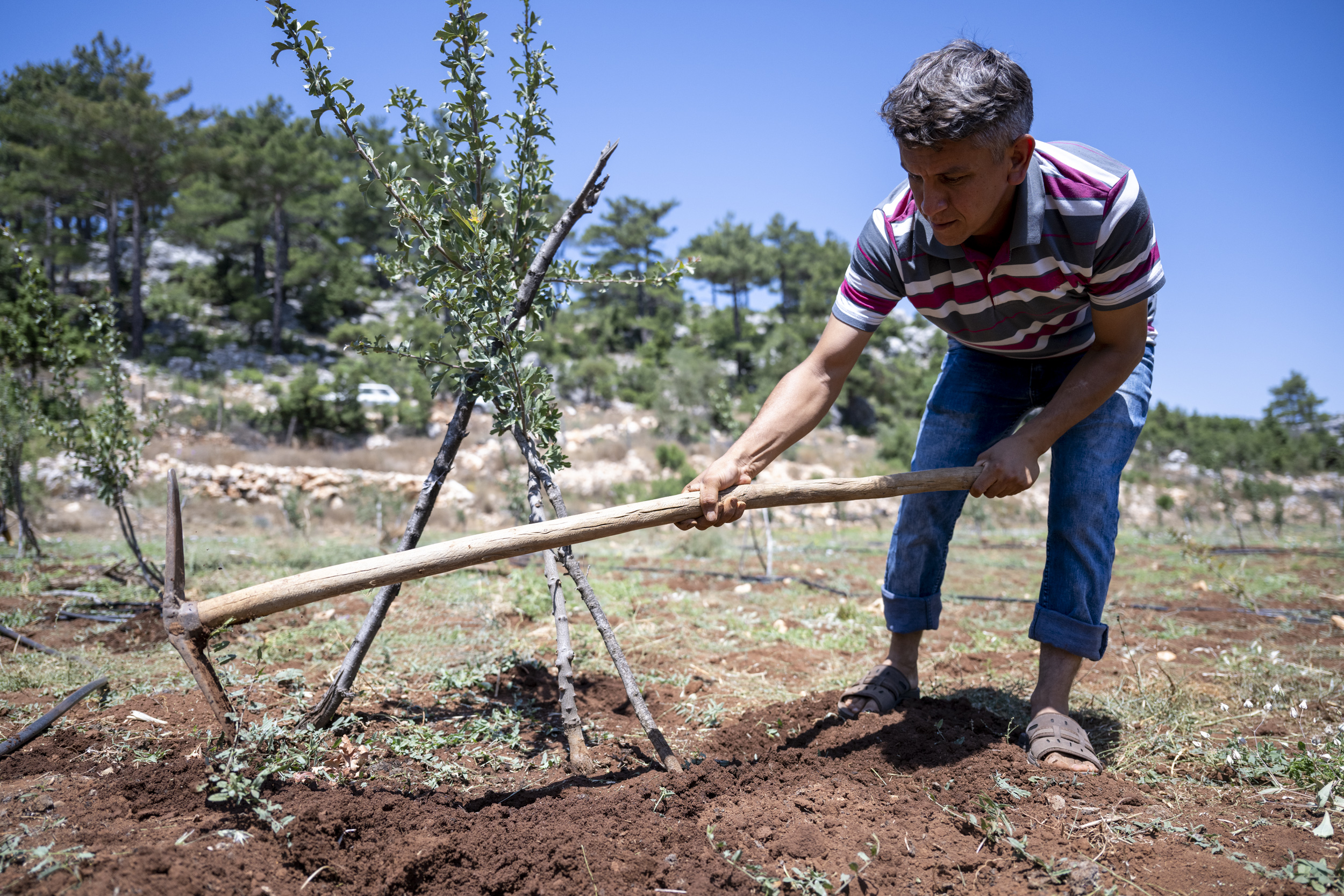 BÜYÜKŞEHİR’İN DESTEĞİ İLE ÜRETİCİ NEFES ALIYOR (1)