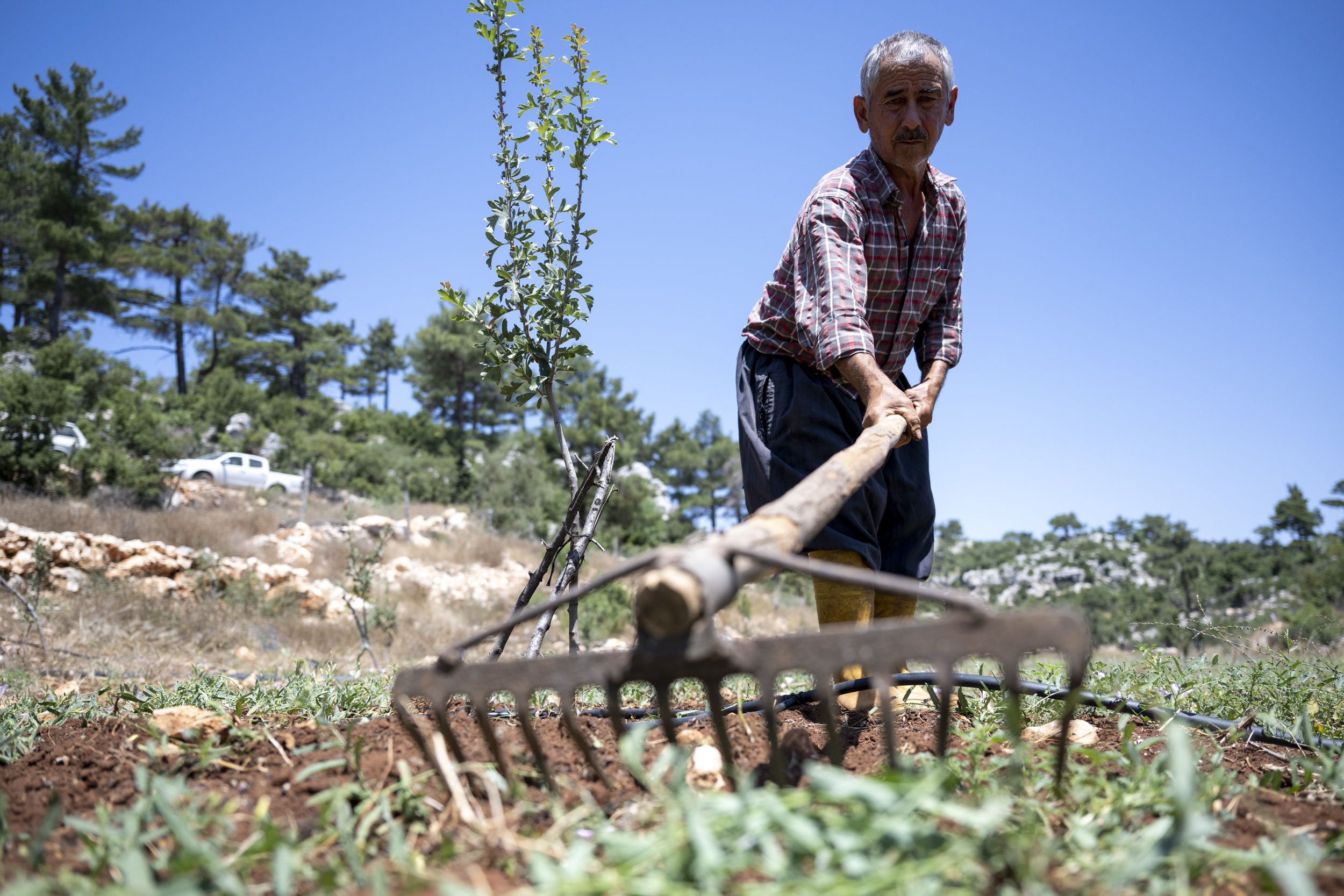 BÜYÜKŞEHİR’İN DESTEĞİ İLE ÜRETİCİ NEFES ALIYOR (5)