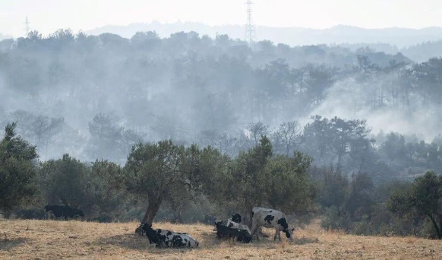 Adsız tasarım - 2023-08-24T112505.479