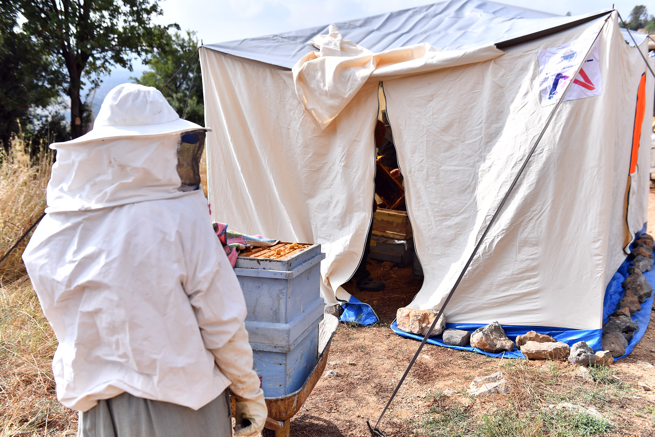 ARICILAR, BALLARINI ARTIK MODERN ÇADIRLARDA SAĞACAK (1)