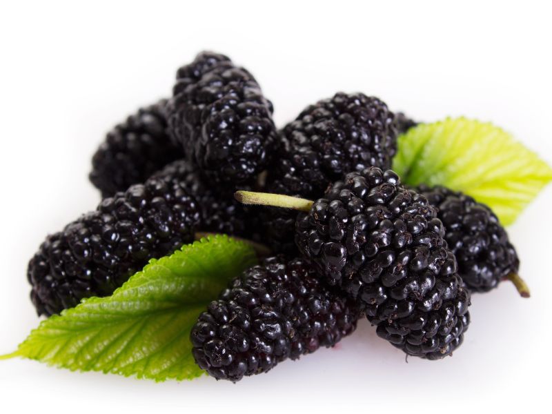 a103892e-94c0-418b-8c4c-93f4ada00b7d-5882ce55-0dad-4540-9287-7d4704bb5558