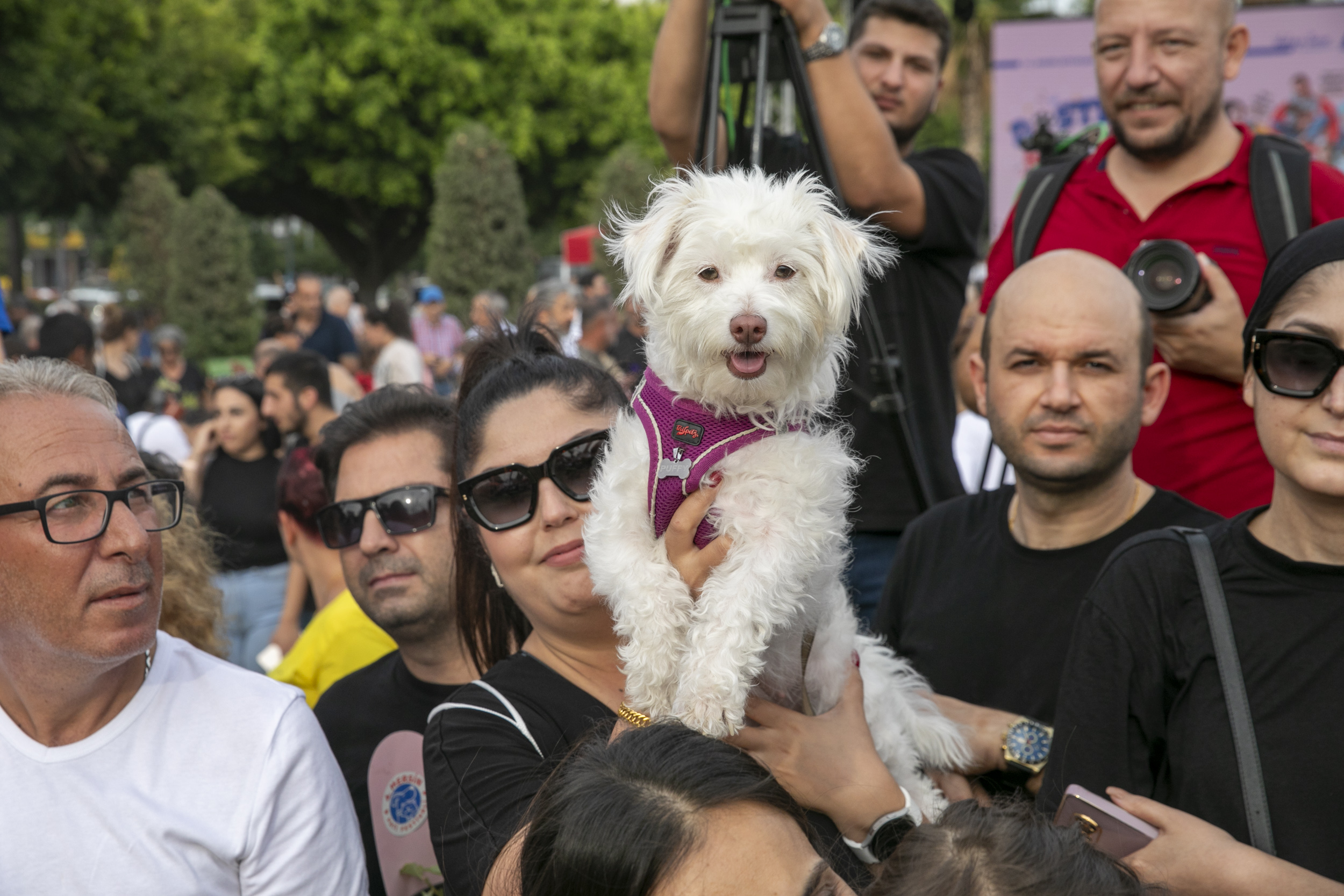 BAŞKAN SEÇER 4. MERSİN PATİ FESTİVALİ’NDE HAYVANSEVERLER VE CAN DOSTLARLA BULUŞTU (14)