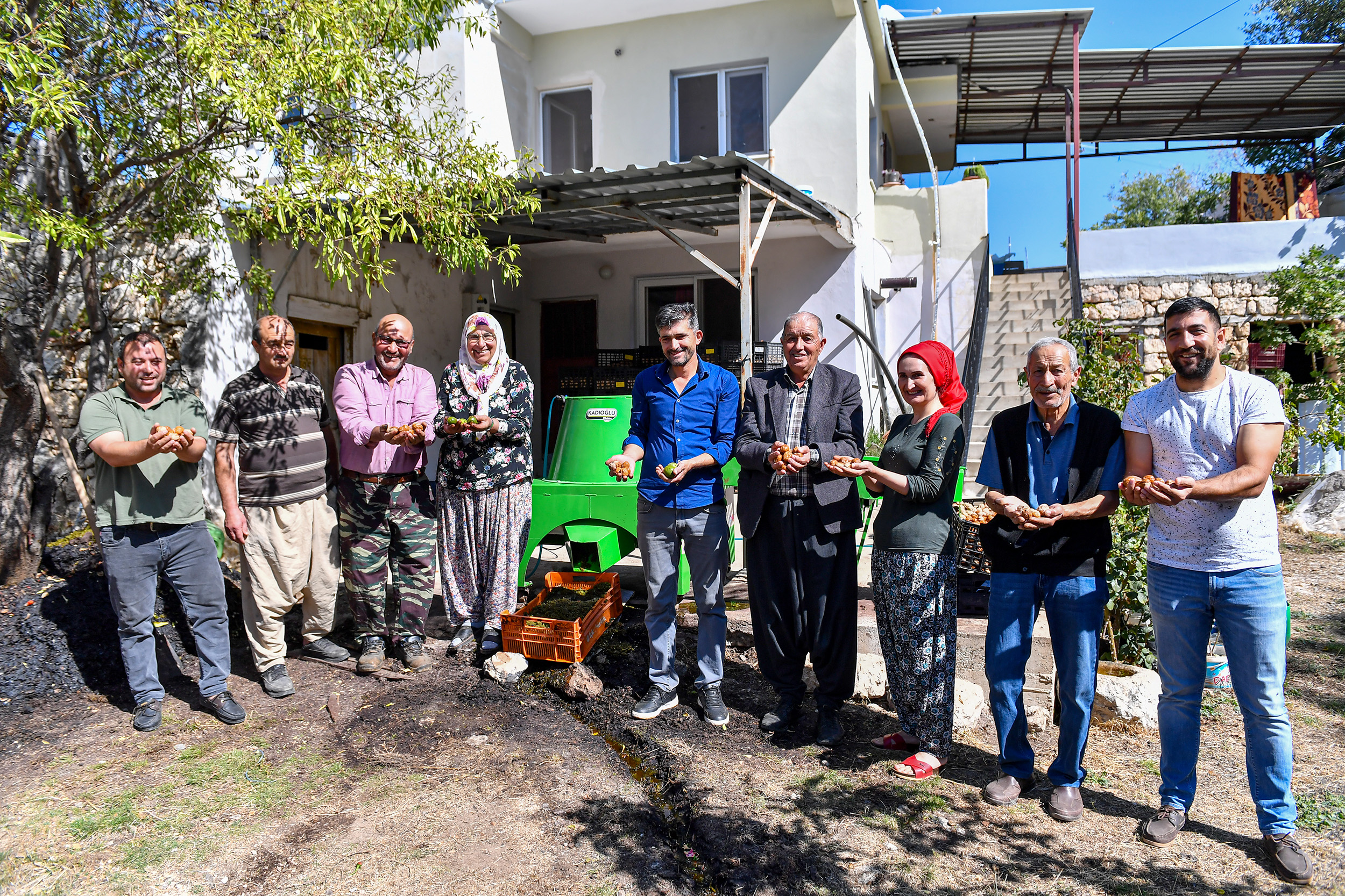 CEVİZLERİ MAKİNE SOYUYOR, ÜRETİCİ KEYFİNİ ÇIKARIYOR (2)