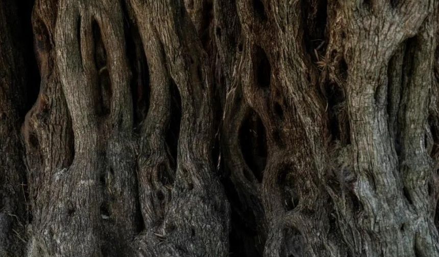 tasarımsuu.JPG (53)-6