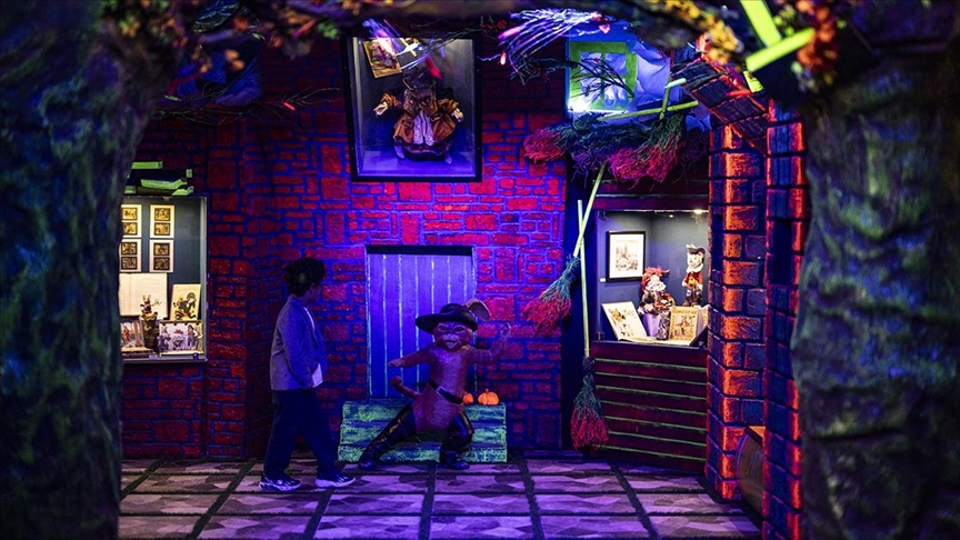 Kedi Müzesi, Beşiktaş'ta açıldı