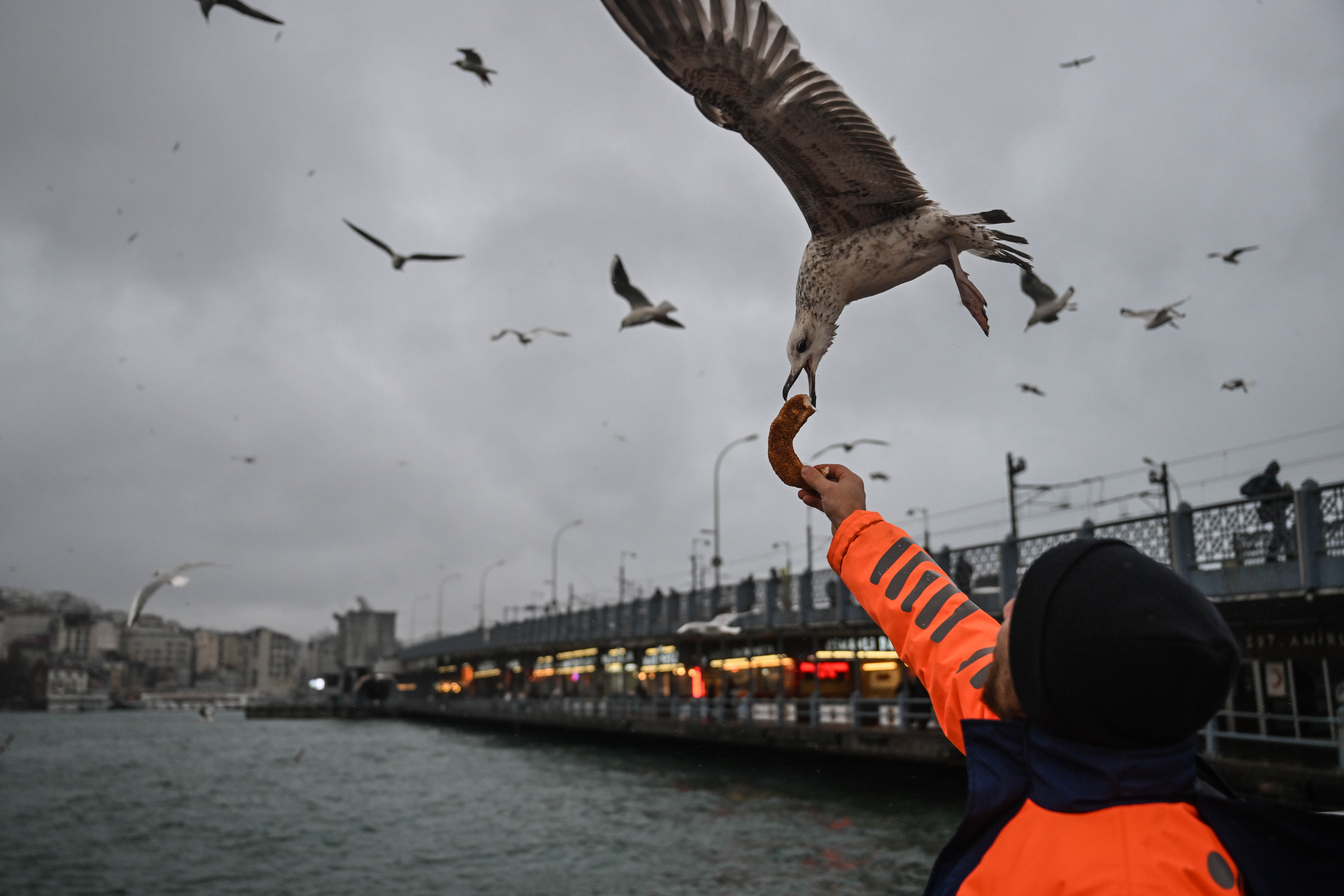 İstanbul çevresinde soğuk ve yağışlı hava etkili oldu