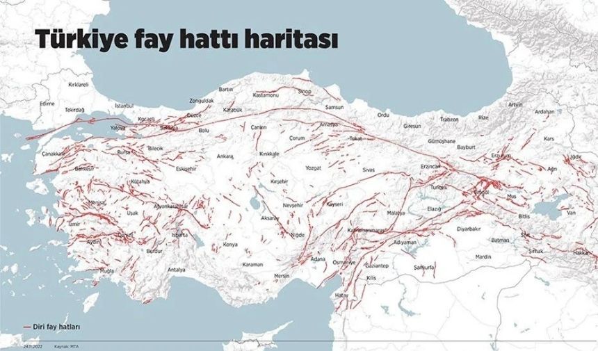 Fayhattısorgulama