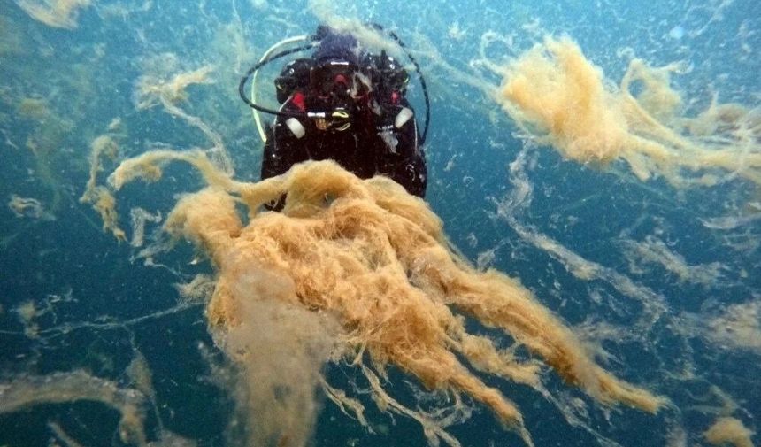 Meteoroloji Genel Müdürlüğü'nden Yapılan Açıklamaya Göre, Bu Hafta Iç Ve Batı Bölgelerde Sıcaklıklar Mevsim Normallerinin 4 6 Derece Üzerine Çıkacak. (81)