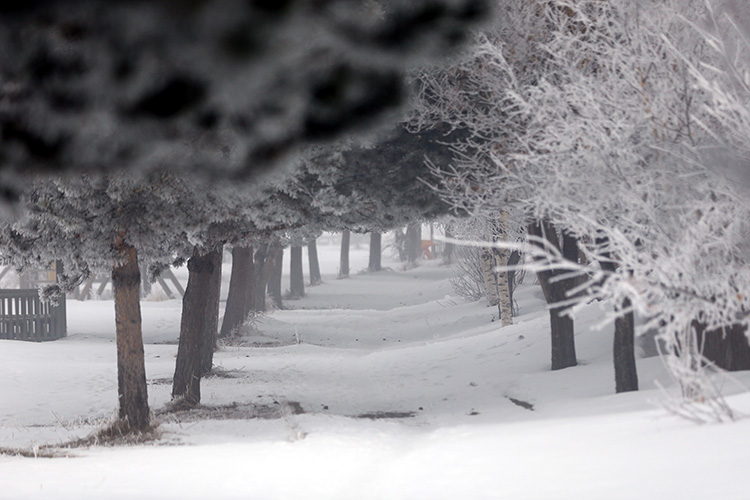 2025 02 04022025 Ardahan1