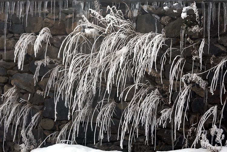 2025 02 04022025 Ardahan3