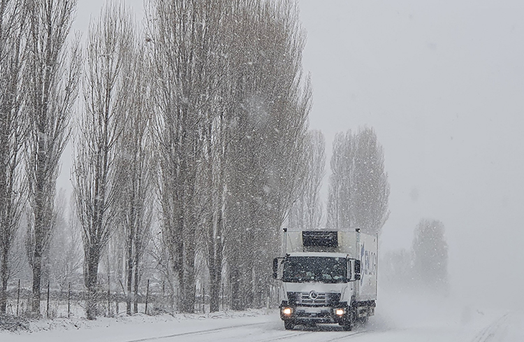 2025 11 20250214 2 67718199 109639791