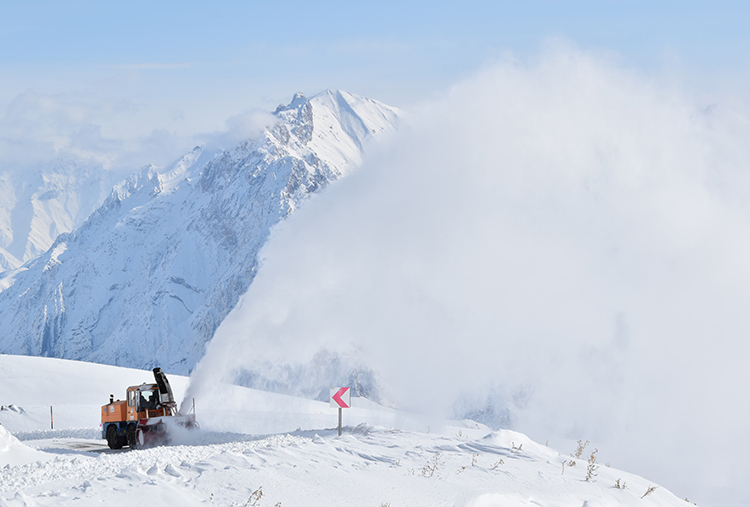 2025 11 20250214 2 67718273 109639933