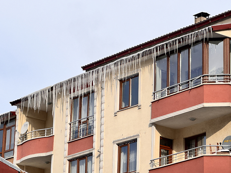 2025 12 20250226 2 67896408 110070993