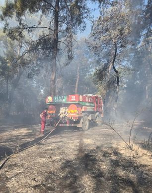 3802668 139D2Bb9C27B056B902A5Cec59Ad364D