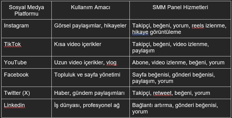 Ekran Görüntüsü 2025 06 13 111818