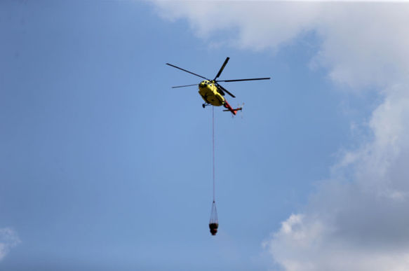 3813169 Ff09B086F0Bbd622Cbe0D0625De1C793