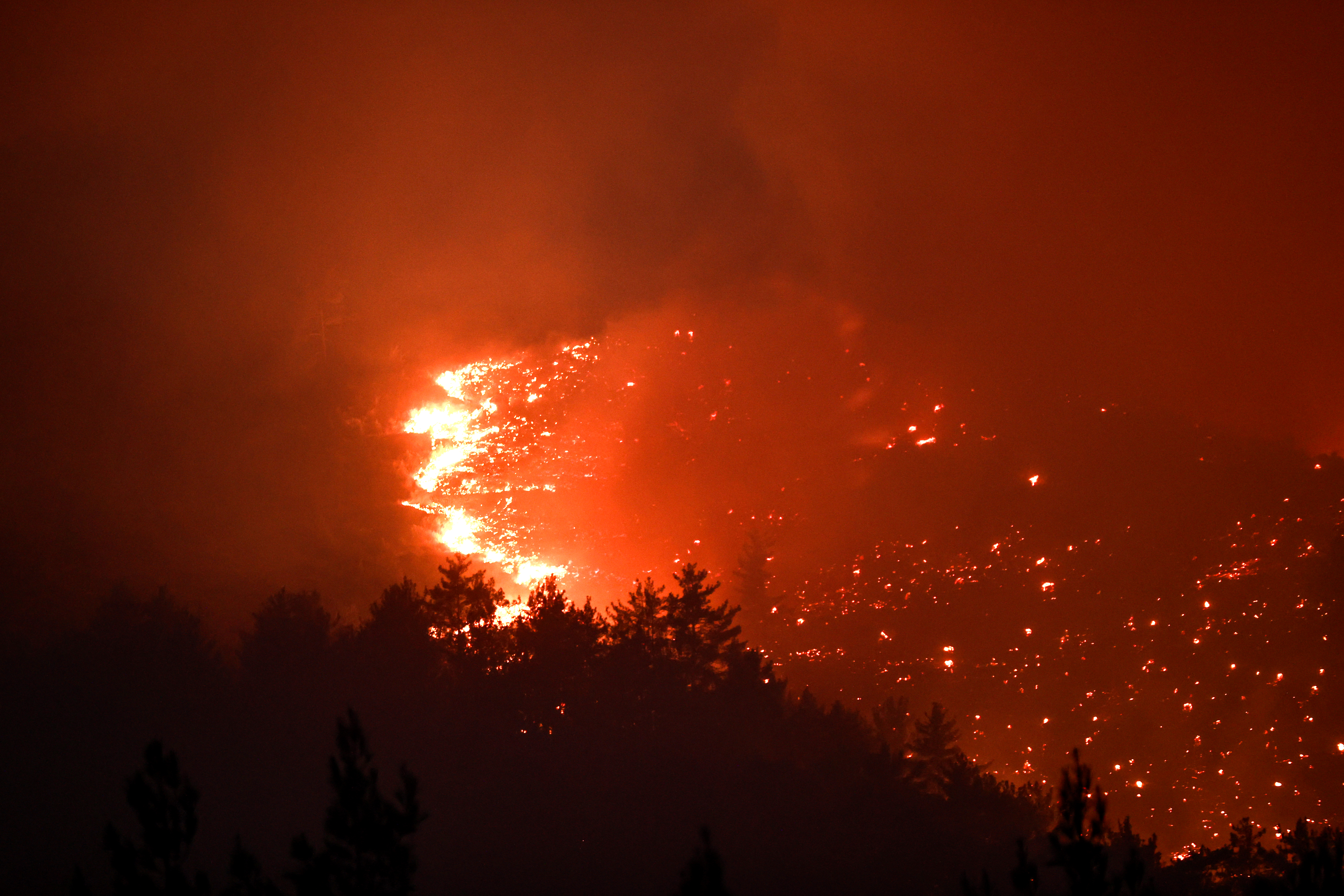 A A 20250813 38821935 38821930 M E R S I N D E O R M A N L I K A L A N D A Y A N G I N C I K T I