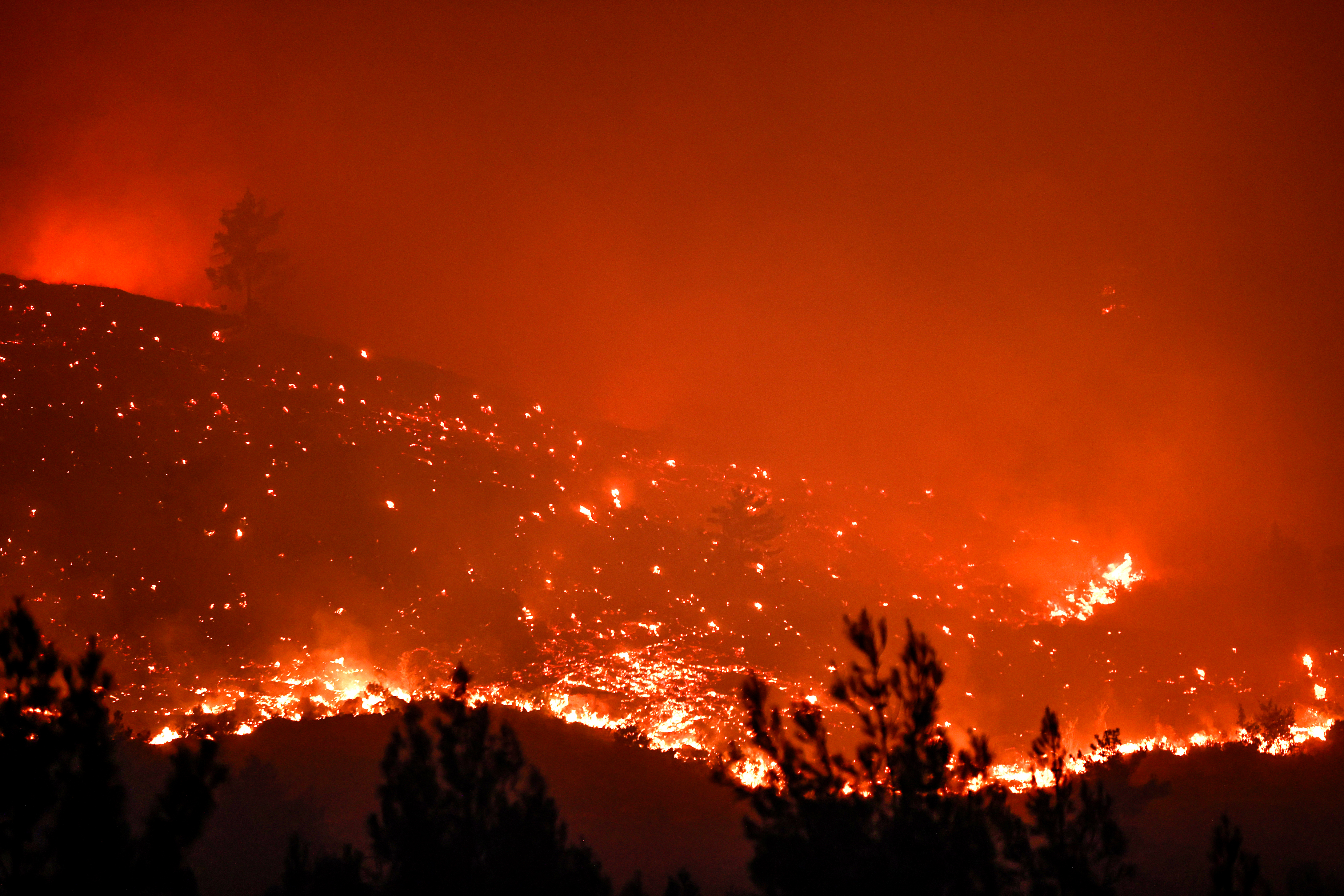 A A 20250813 38821935 38821931 M E R S I N D E O R M A N L I K A L A N D A Y A N G I N C I K T I