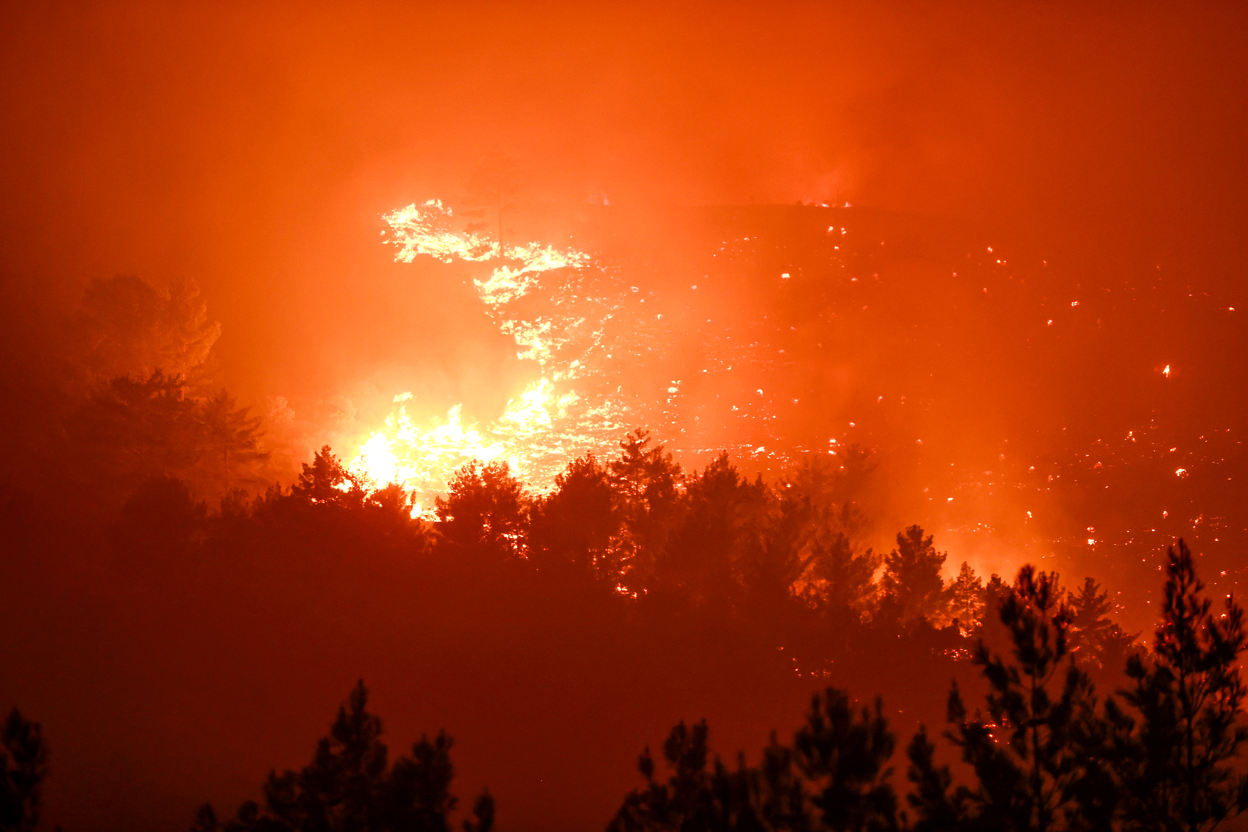 A A 20250813 38821935 38821933 M E R S I N D E O R M A N L I K A L A N D A Y A N G I N C I K T I