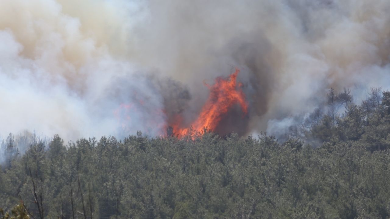 Çanankele Yangın 100820254