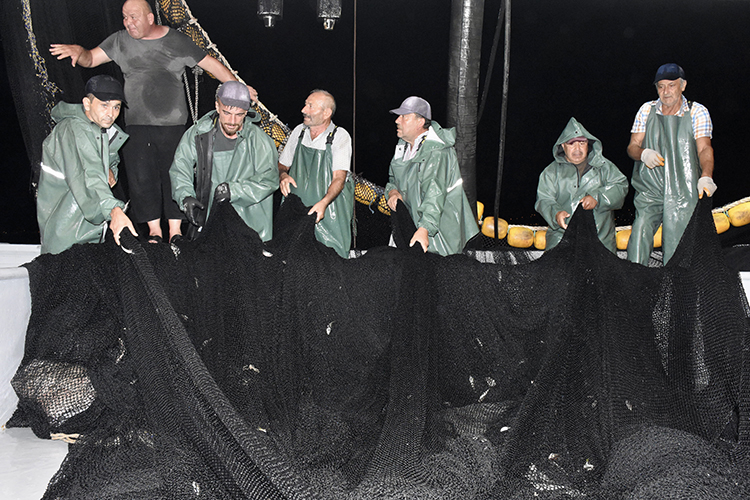 007 2025 04 E Y L U L 26 A A 38984297