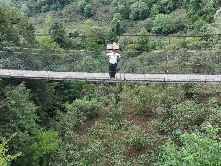 20250904 2 70627718 116703207