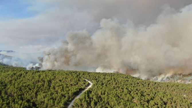 3819486 Dab6D432Fdd6Ae4A7C2F2Fe6C4Ea1E62