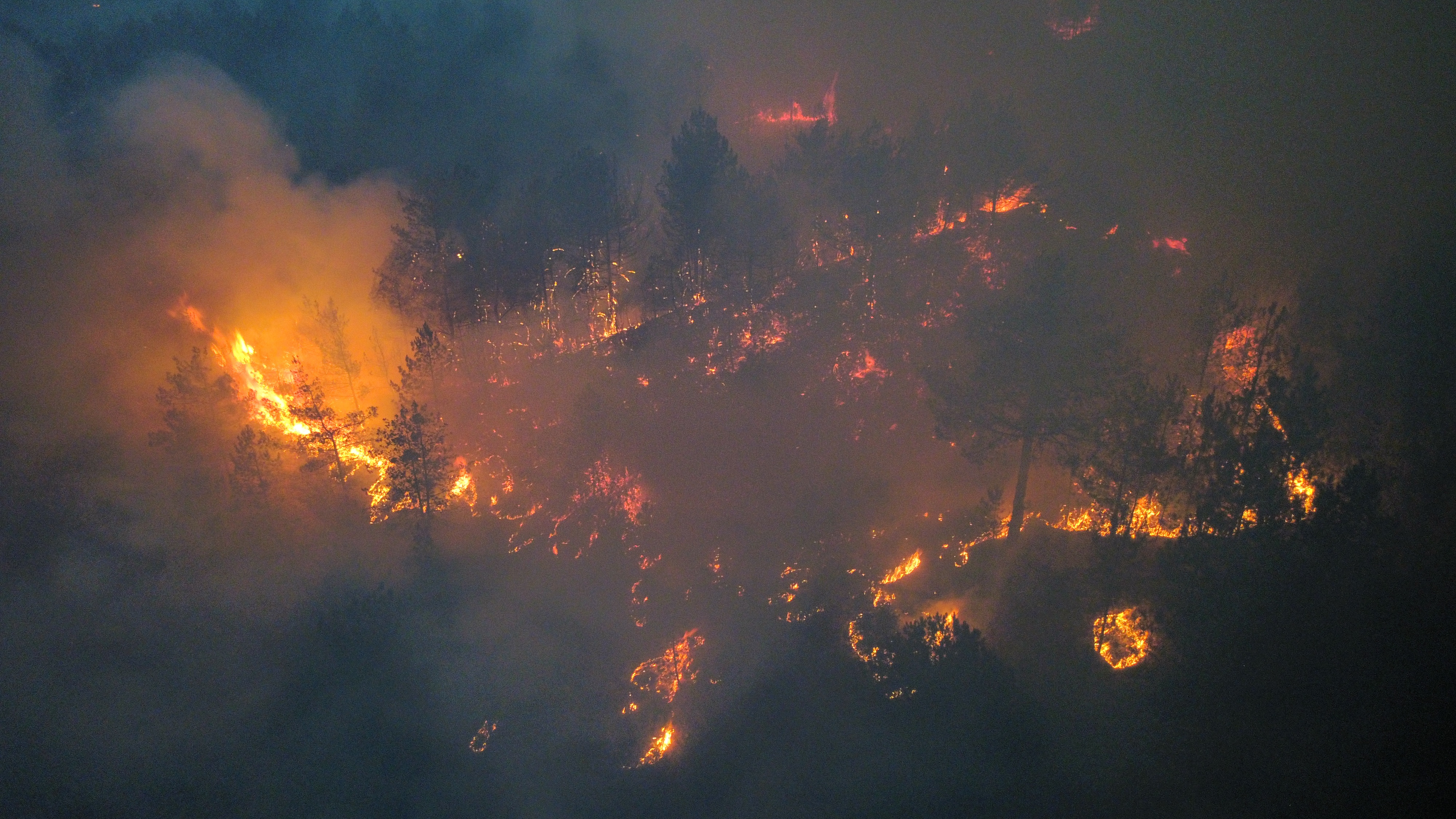 A A 20250901 38992391 38992384 K A S T A M O N U K A R A B U K S I N I R I N D A C I K A N I K I N C I Y A N G I N A M U D A H A L E E D I L I Y O R