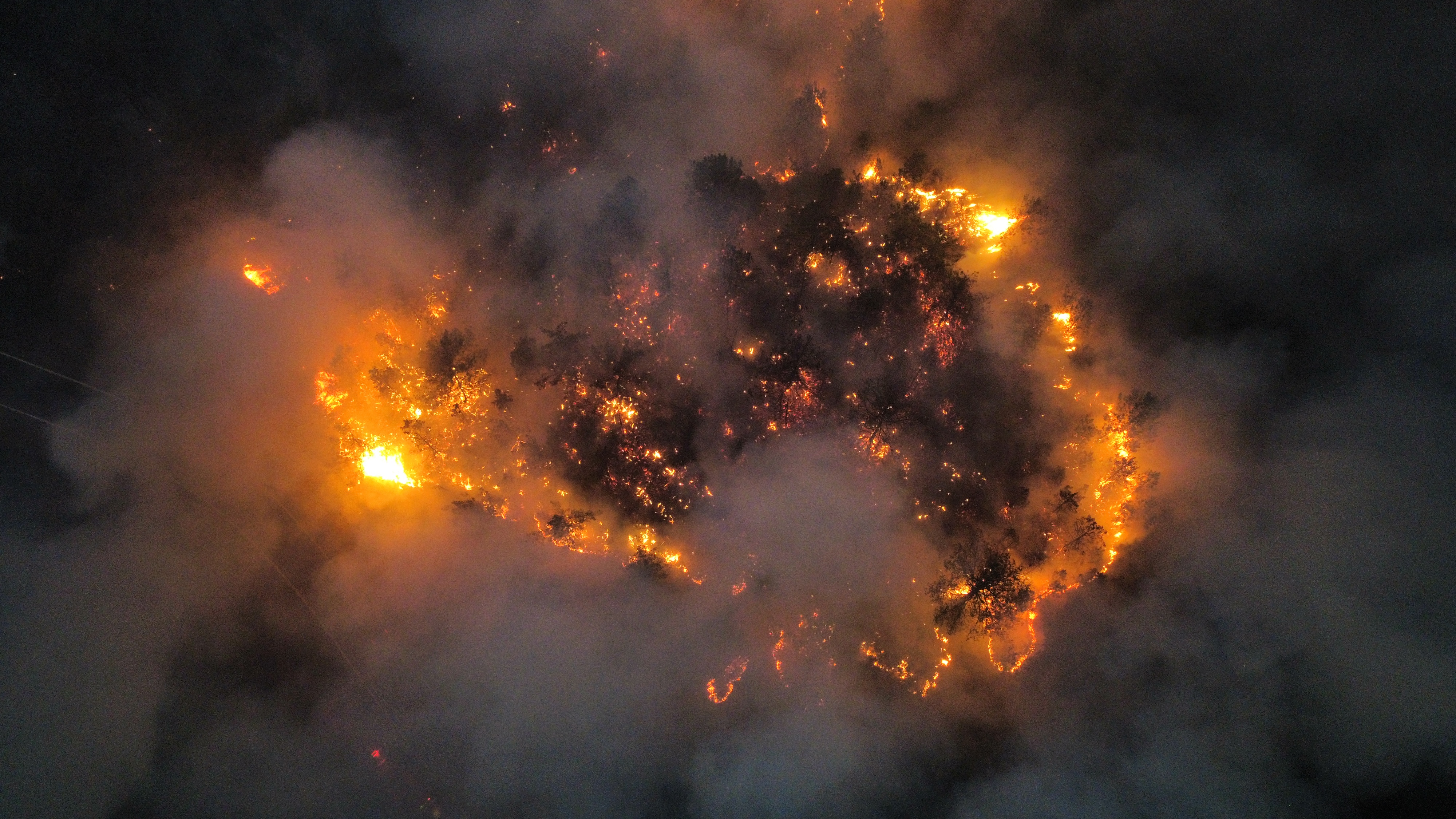 A A 20250901 38992391 38992385 K A S T A M O N U K A R A B U K S I N I R I N D A C I K A N I K I N C I Y A N G I N A M U D A H A L E E D I L I Y O R