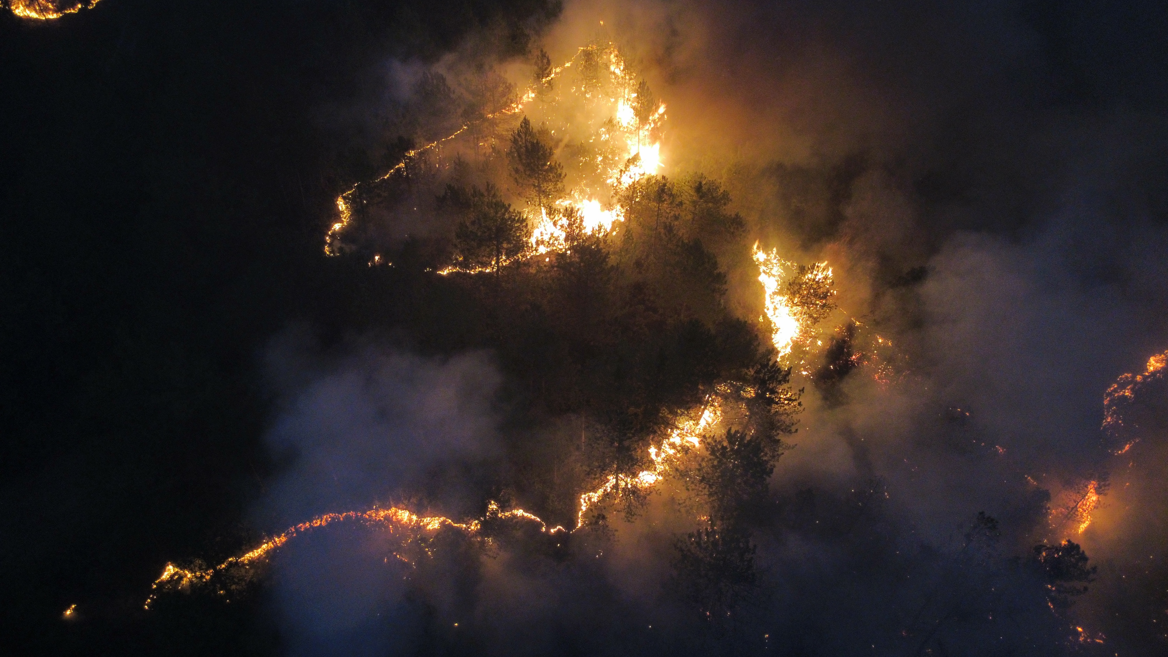 A A 20250901 38992391 38992387 K A S T A M O N U K A R A B U K S I N I R I N D A C I K A N I K I N C I Y A N G I N A M U D A H A L E E D I L I Y O R