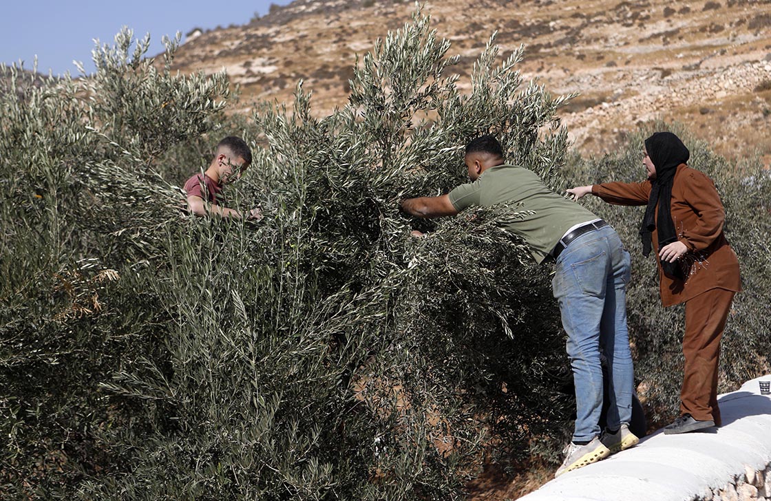 Agustos 2024 Hasatttt4