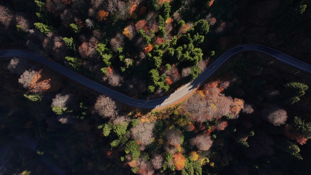 Dağların eteğindeki Hamsiköy oyuk ağaçlarıyla fotoğraf tutkunlarına alternatif sunuyor
