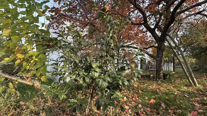 3838334 7E42Fe2D2A43F2B71Ceeac84D9D55Fed